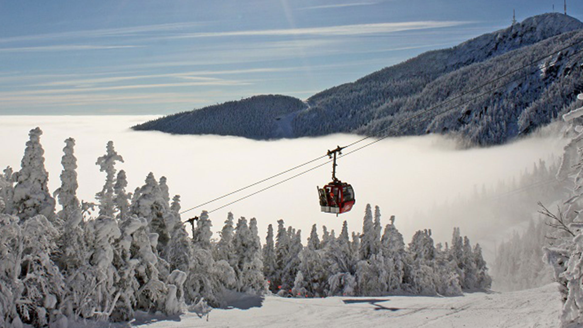 Stowe-Gondola